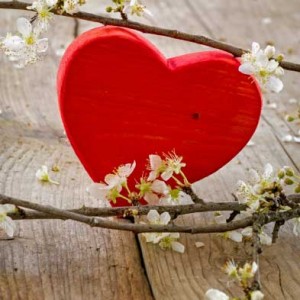 Heart made of wood